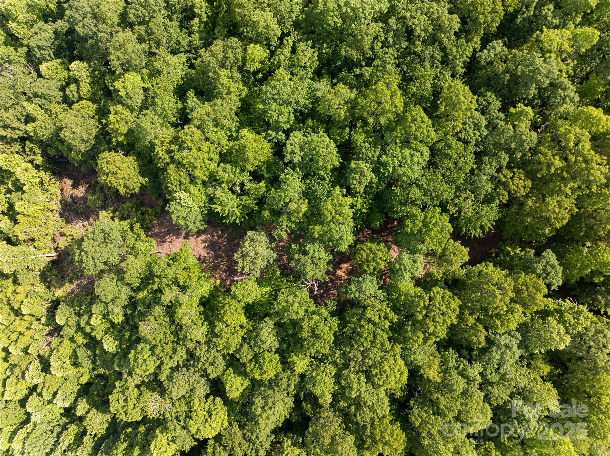 99999 Reserve Road Pisgah Forest NC 28768