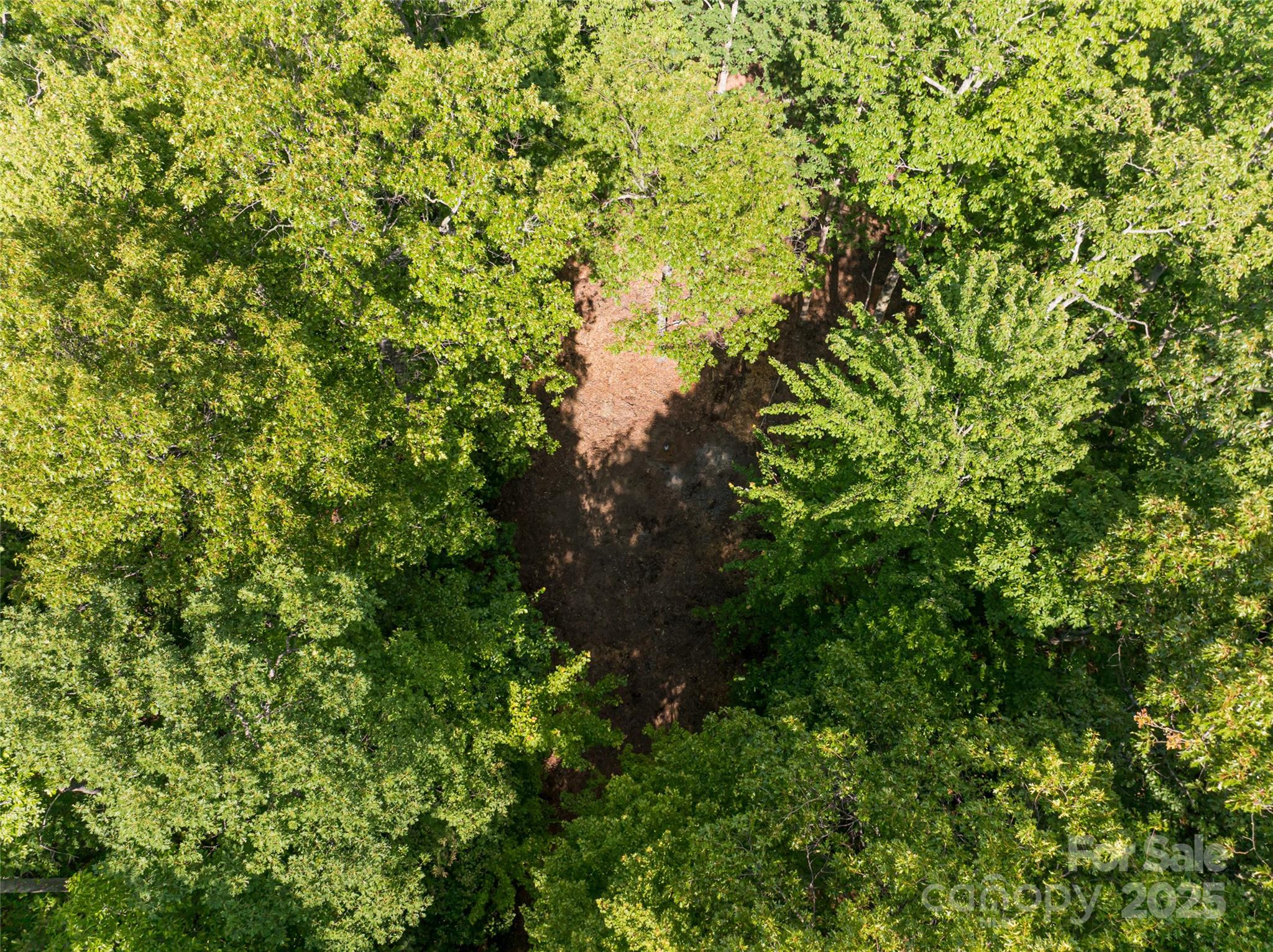 99999 Reserve Road Pisgah Forest NC 28768
