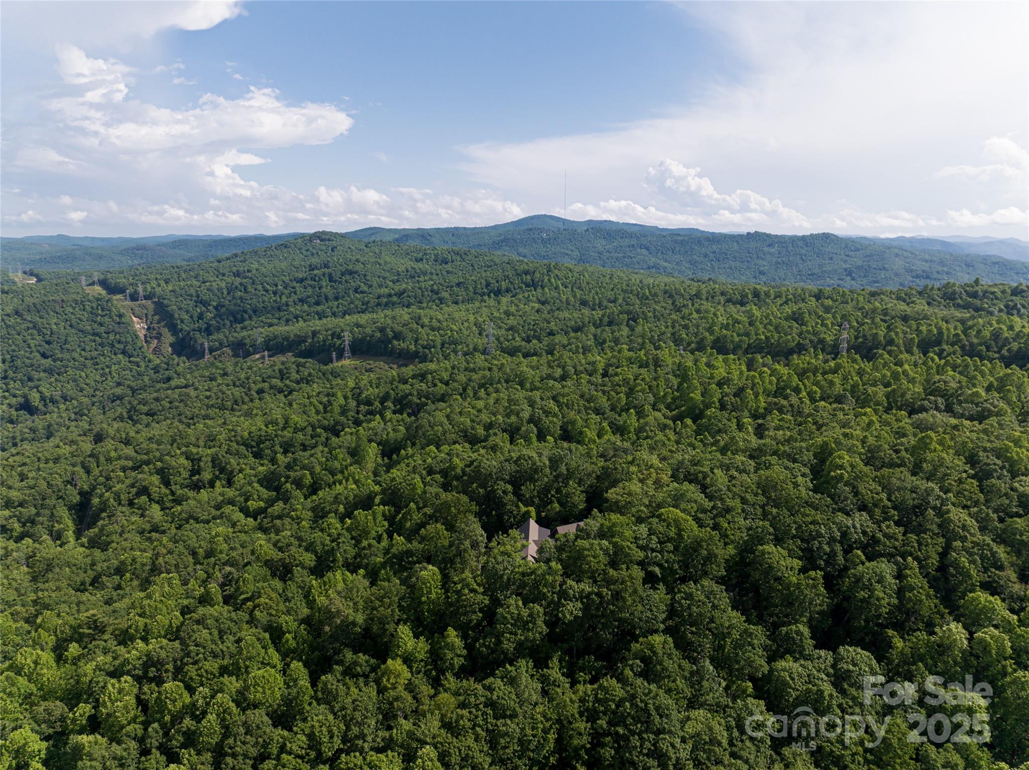 99999 Reserve Road Pisgah Forest NC 28768