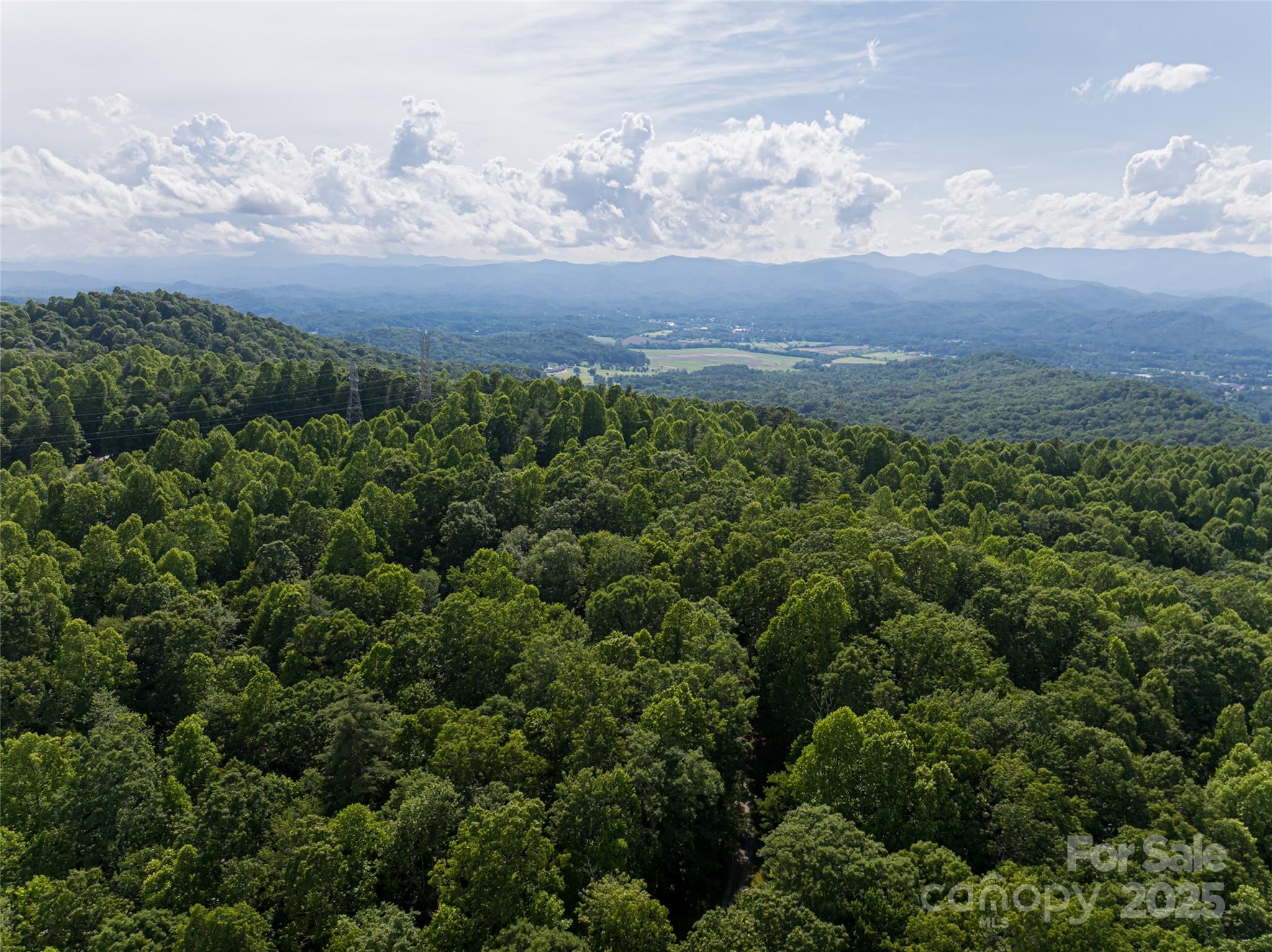 99999 Reserve Road Pisgah Forest NC 28768