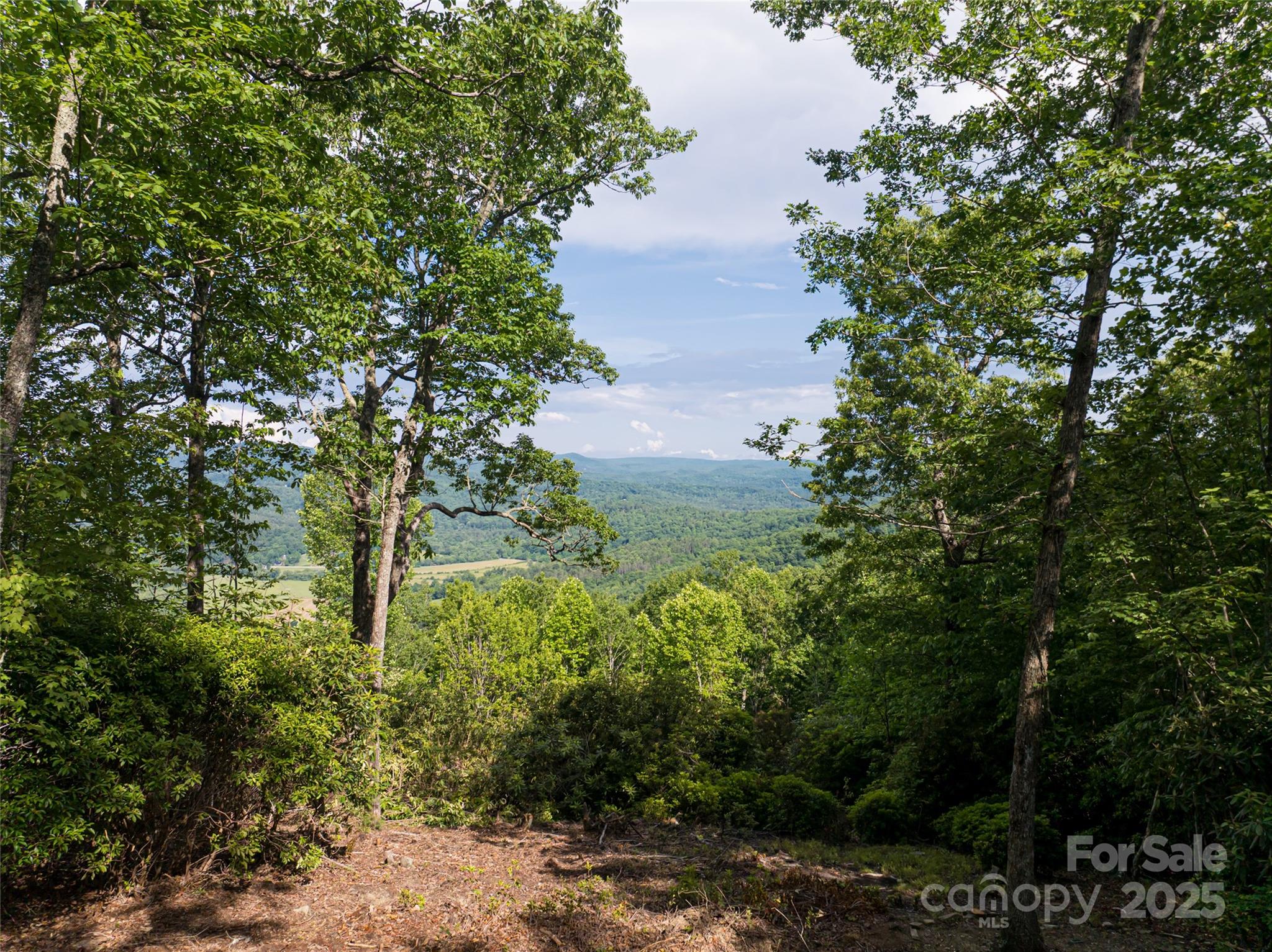 99999 Reserve Road Pisgah Forest NC 28768