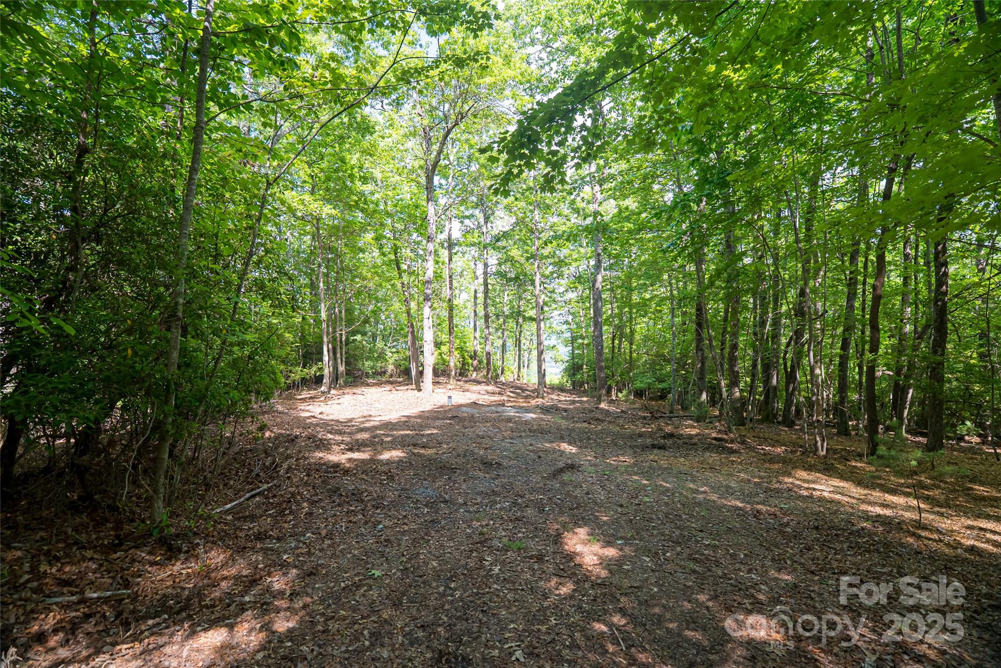 99999 Reserve Road Pisgah Forest NC 28768