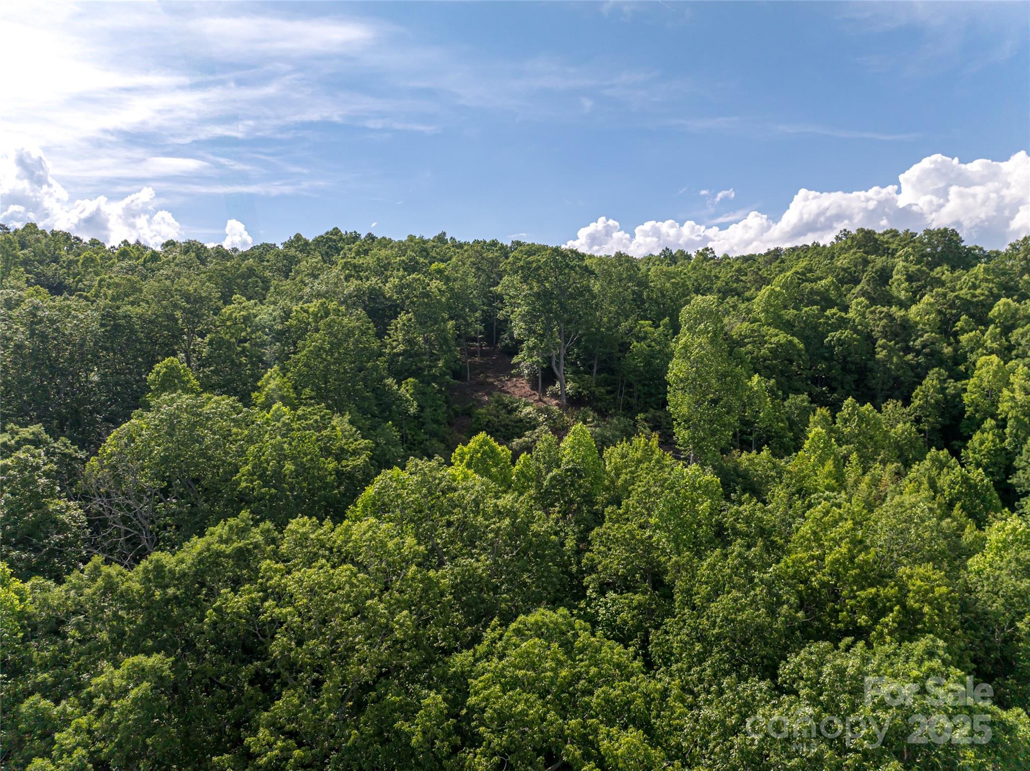 99999 Reserve Road Pisgah Forest NC 28768