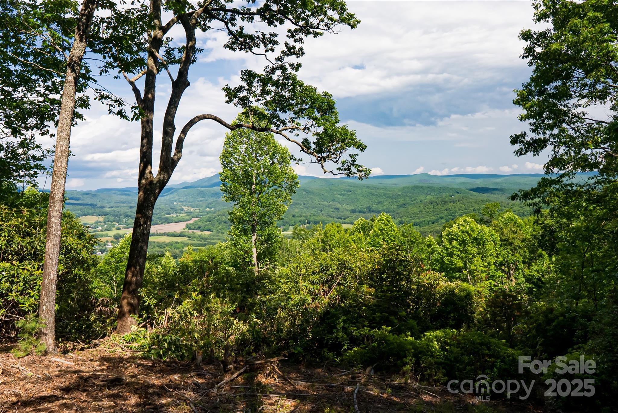 99999 Reserve Road Pisgah Forest NC 28768