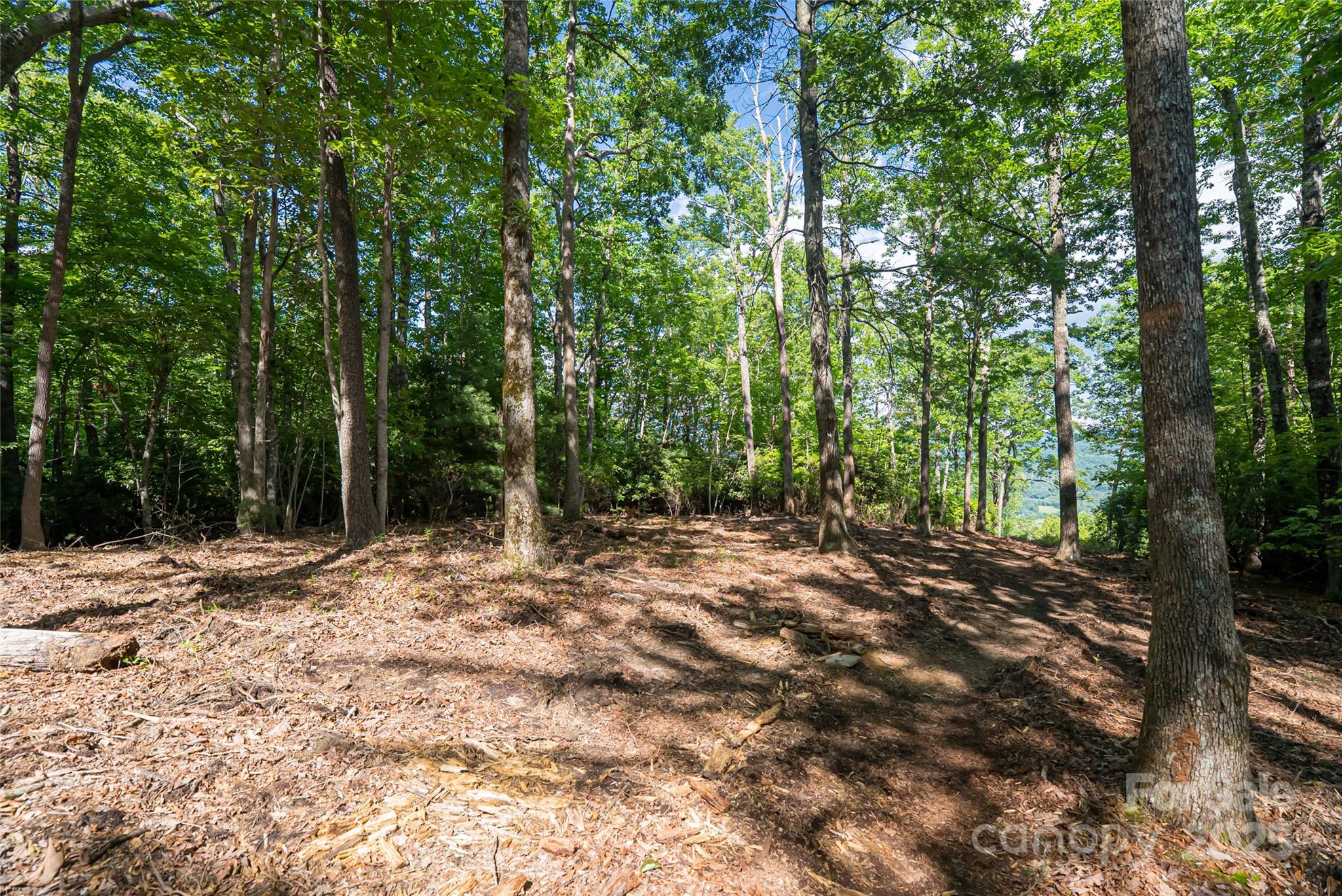 99999 Reserve Road Pisgah Forest NC 28768