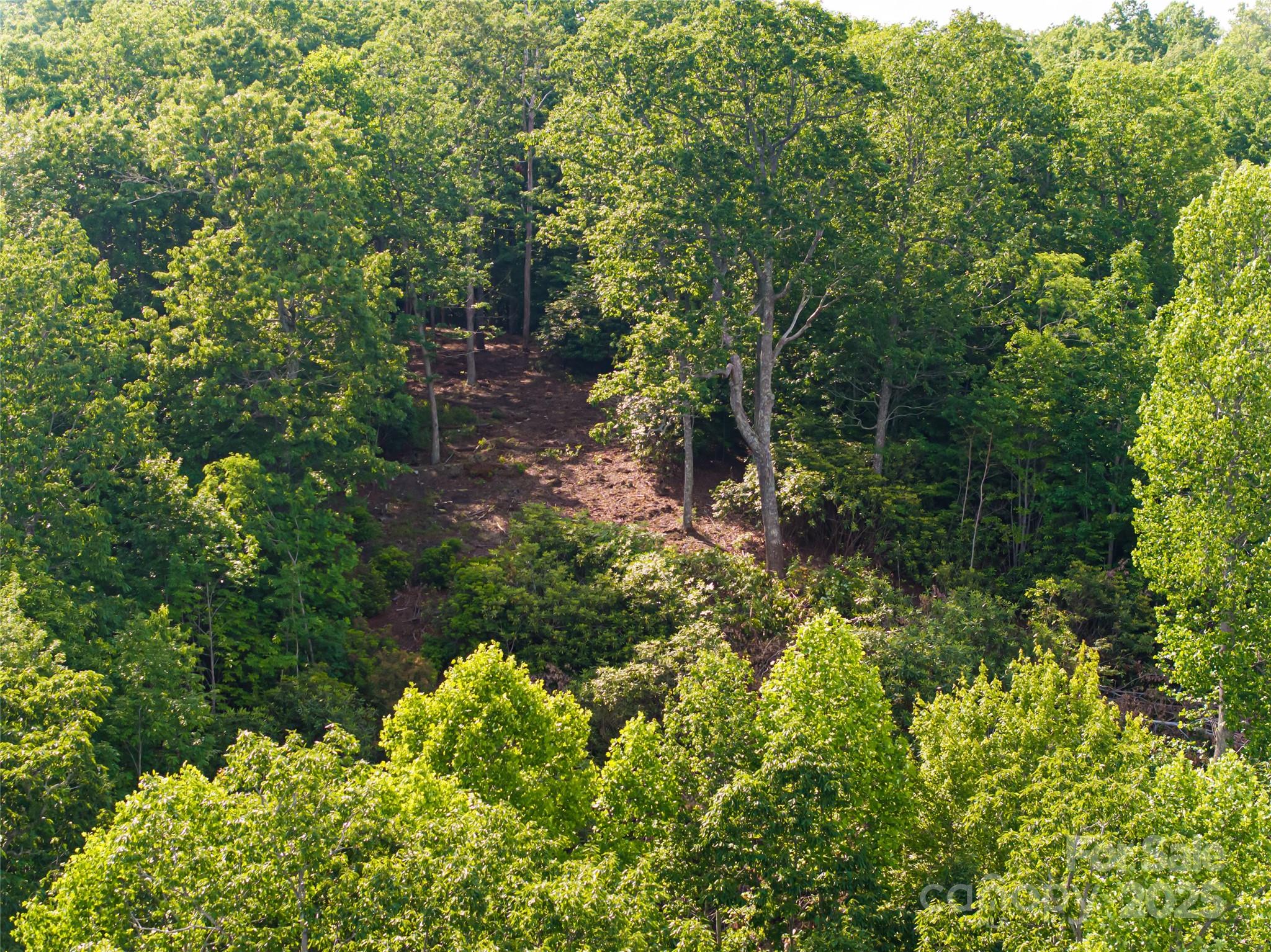 99999 Reserve Road Pisgah Forest NC 28768