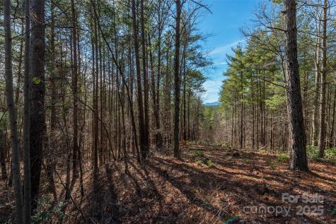 1683 Pisgah Preserve Drive Nebo NC 28761