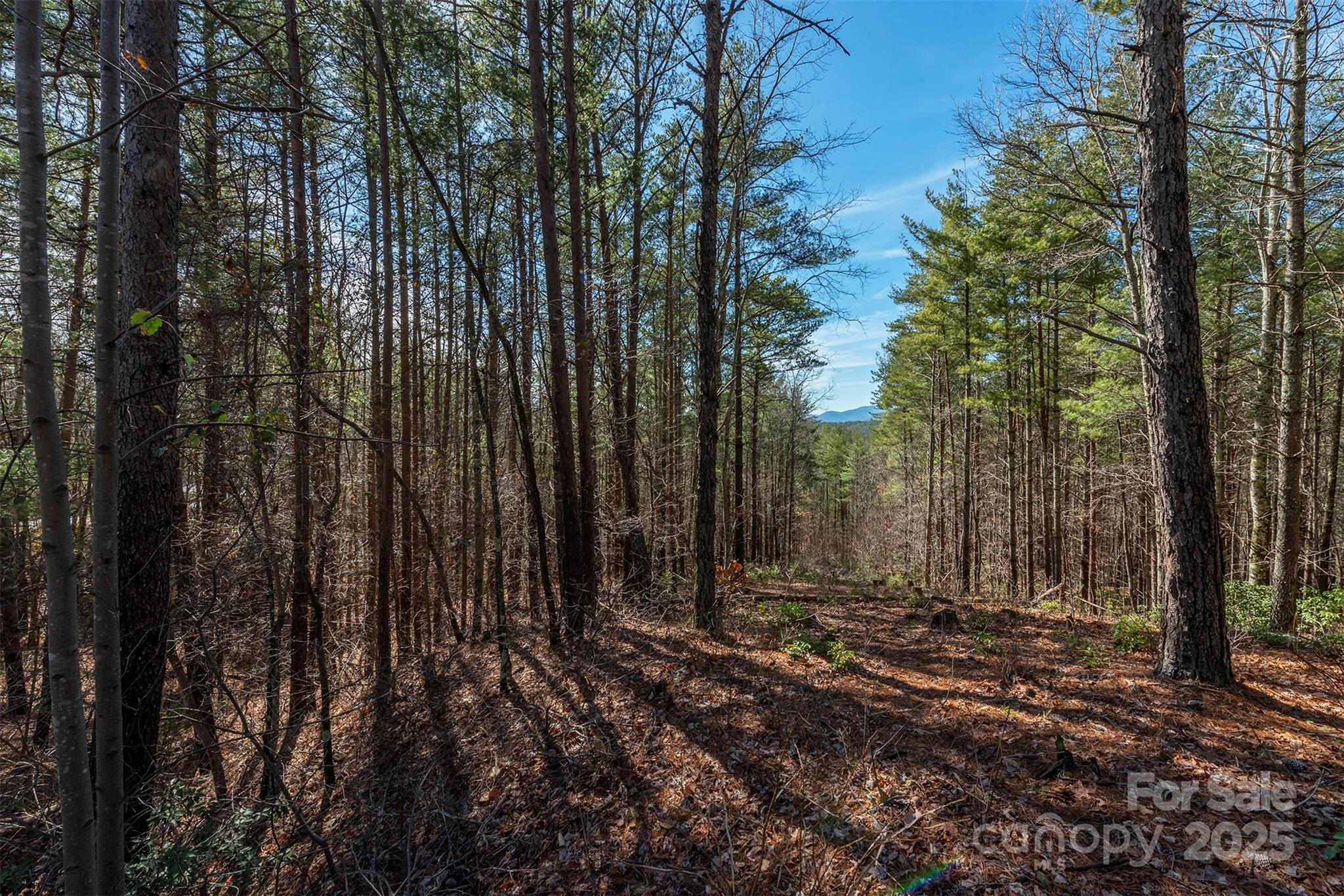 1683 Pisgah Preserve Drive Nebo NC 28761