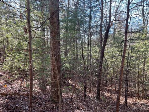 00 Willow Run Lane Zirconia NC 28790