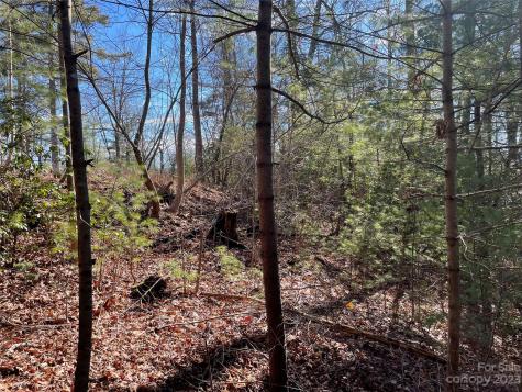 00 Willow Run Lane Zirconia NC 28790