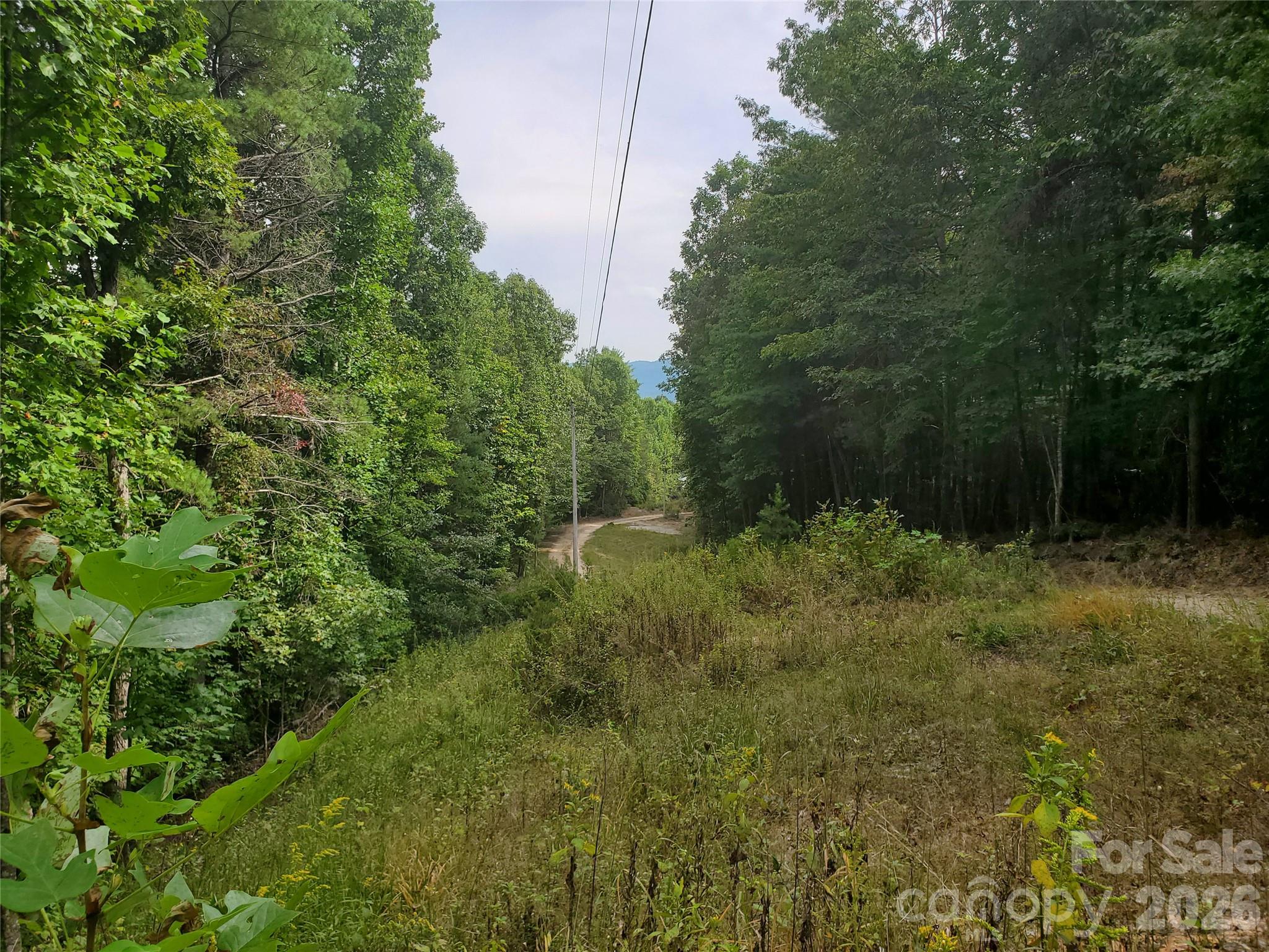 3024 Pearson Mountain Road Boomer NC 28606