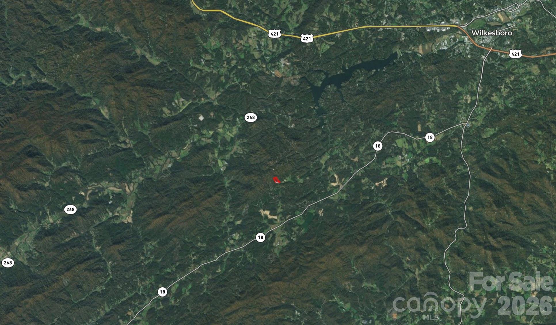3024 Pearson Mountain Road Boomer NC 28606