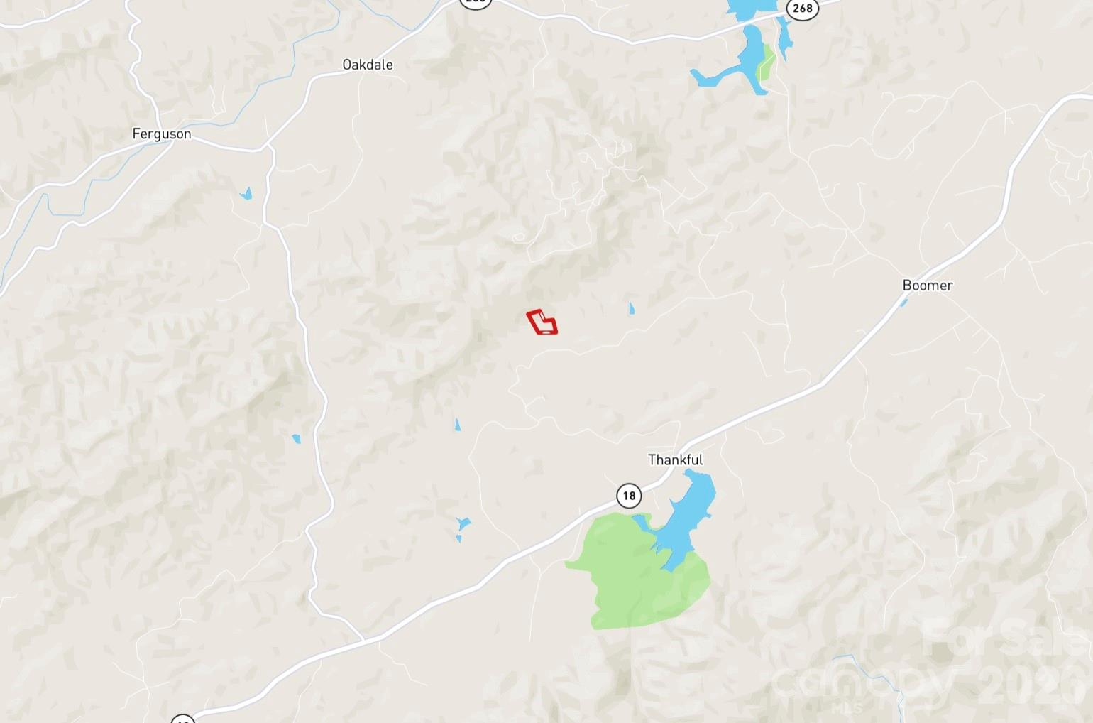 3024 Pearson Mountain Road Boomer NC 28606