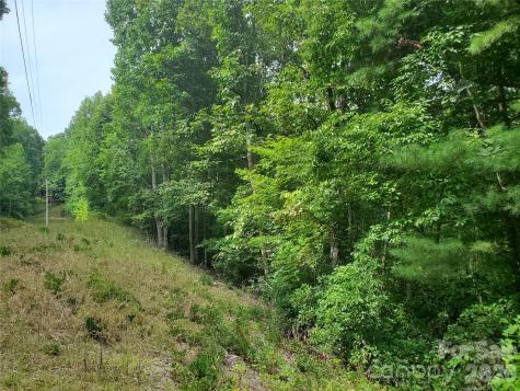 3024 Pearson Mountain Road Boomer NC 28606