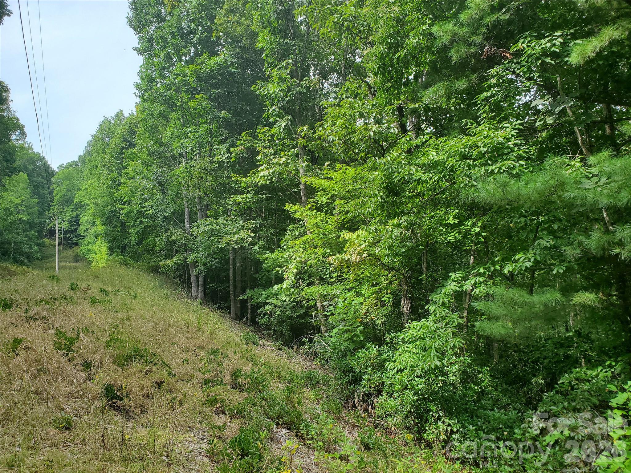 3024 Pearson Mountain Road Boomer NC 28606