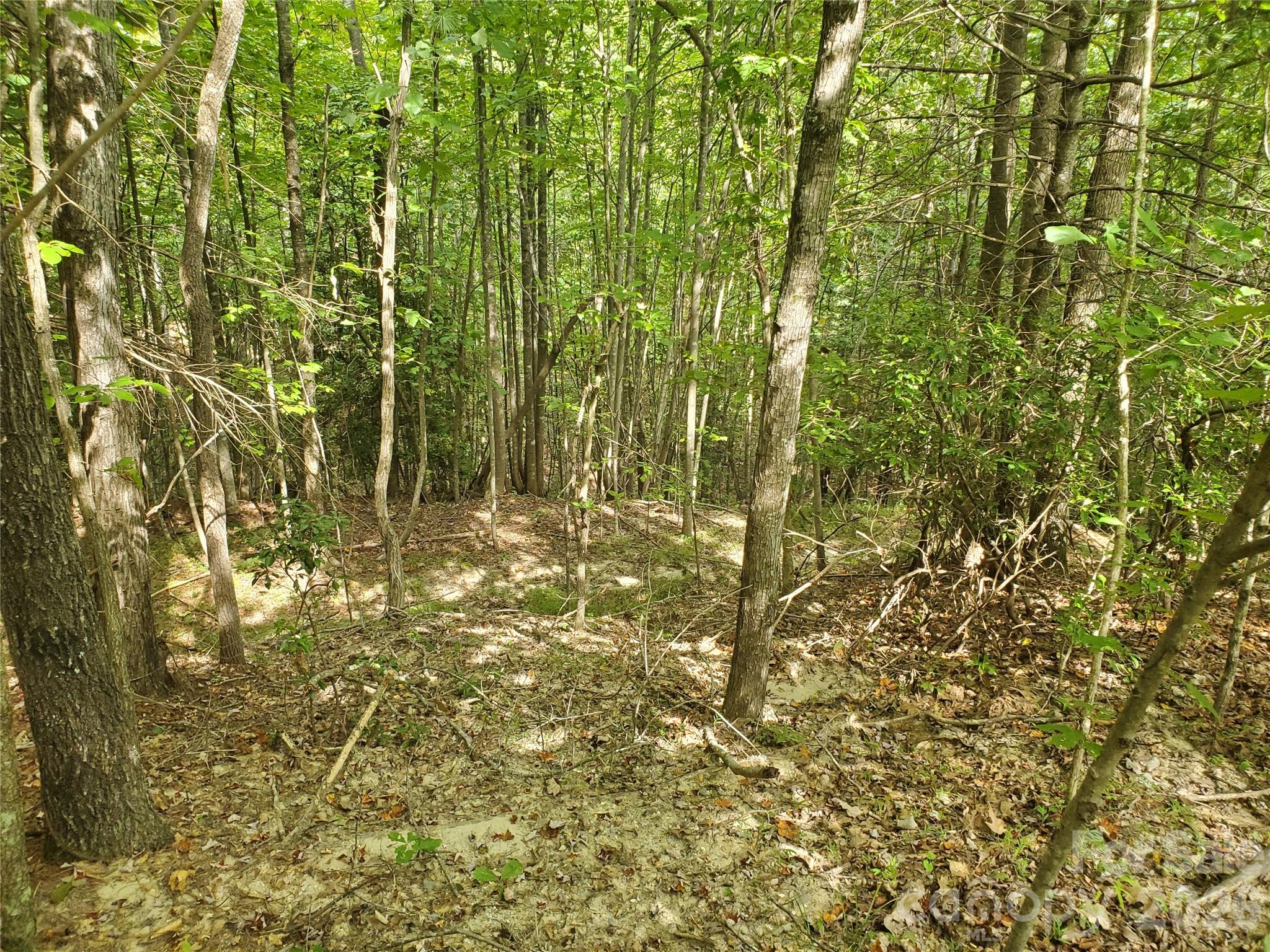 3024 Pearson Mountain Road Boomer NC 28606