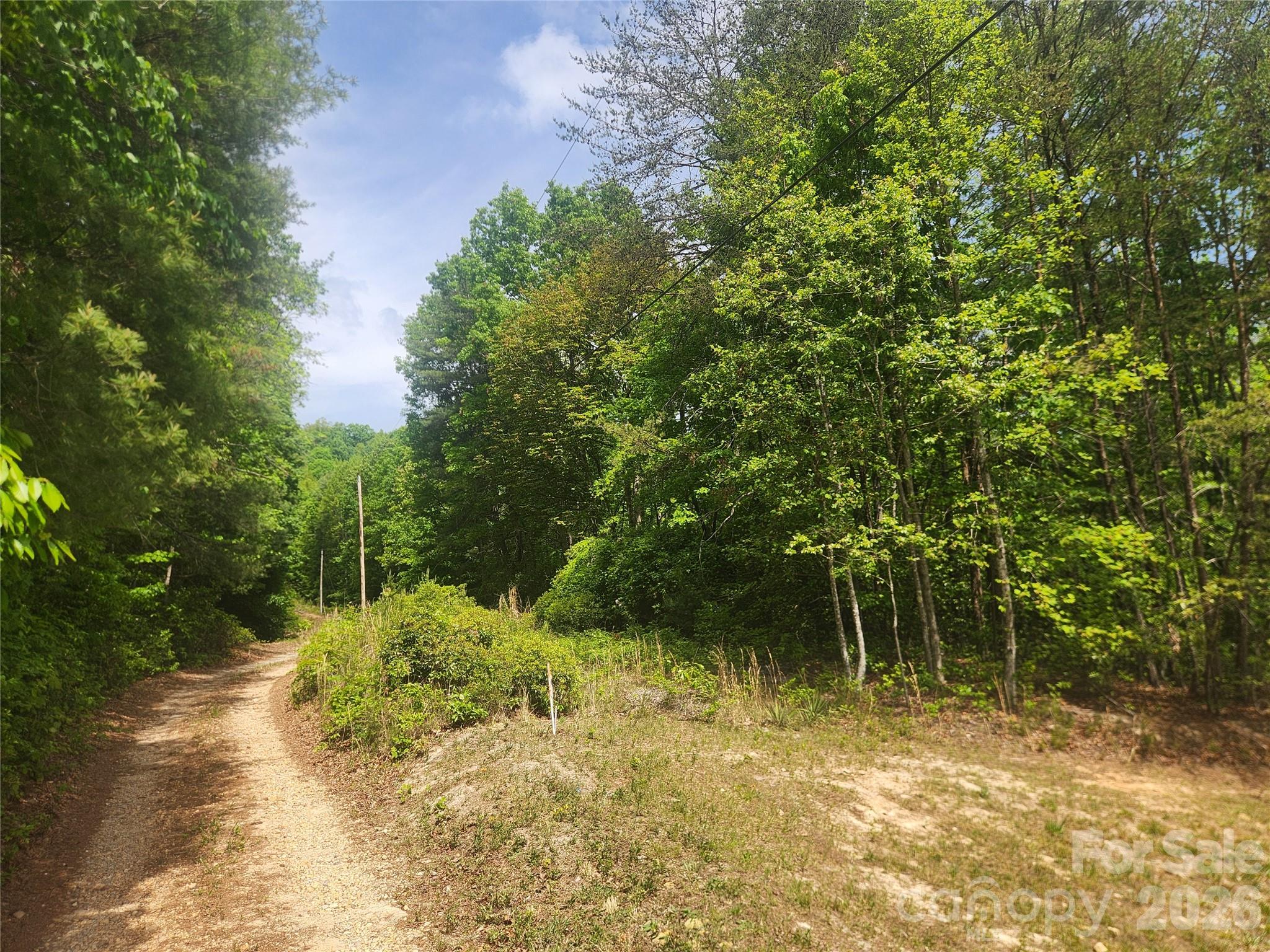 3024 Pearson Mountain Road Boomer NC 28606