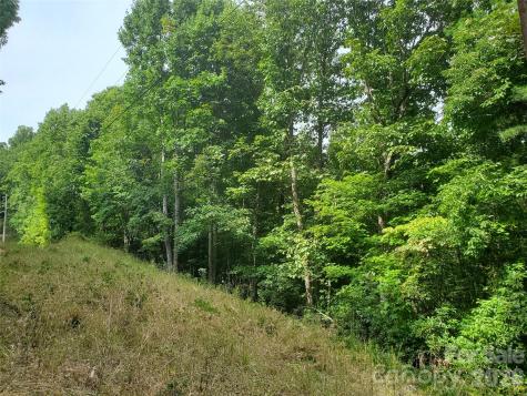3024 Pearson Mountain Road Boomer NC 28606