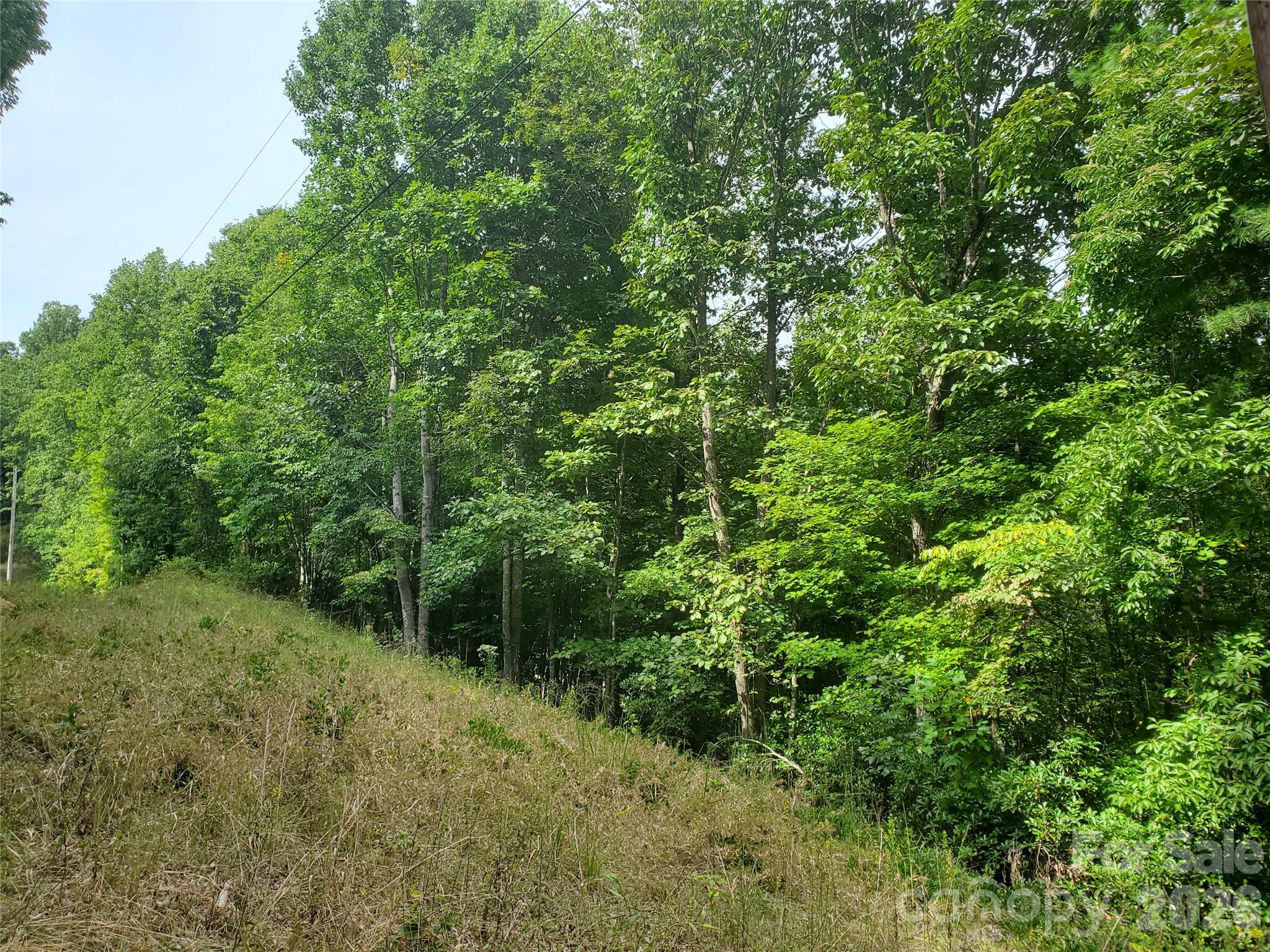 3024 Pearson Mountain Road Boomer NC 28606