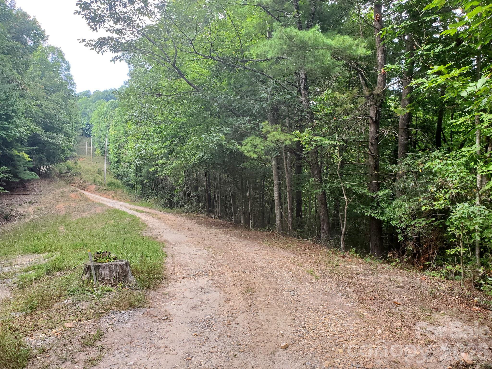 3024 Pearson Mountain Road Boomer NC 28606