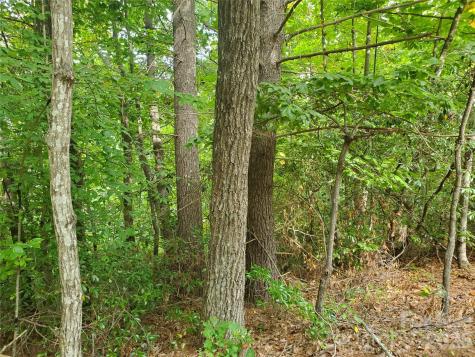 3024 Pearson Mountain Road Boomer NC 28606