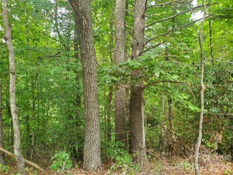 3024 Pearson Mountain Road Boomer NC 28606