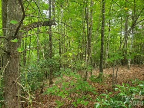 3024 Pearson Mountain Road Boomer NC 28606