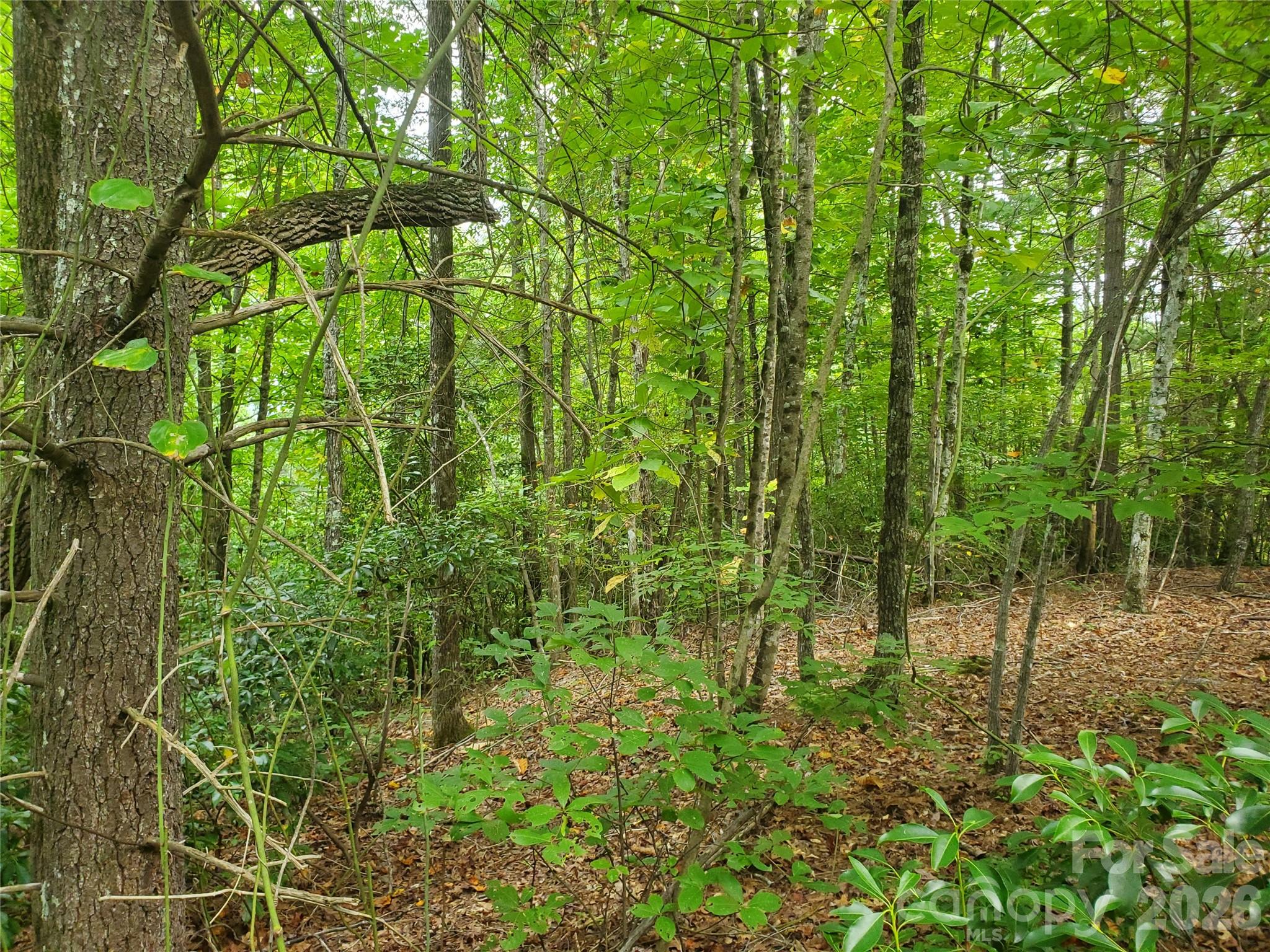 3024 Pearson Mountain Road Boomer NC 28606