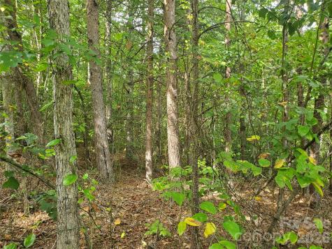 3024 Pearson Mountain Road Boomer NC 28606