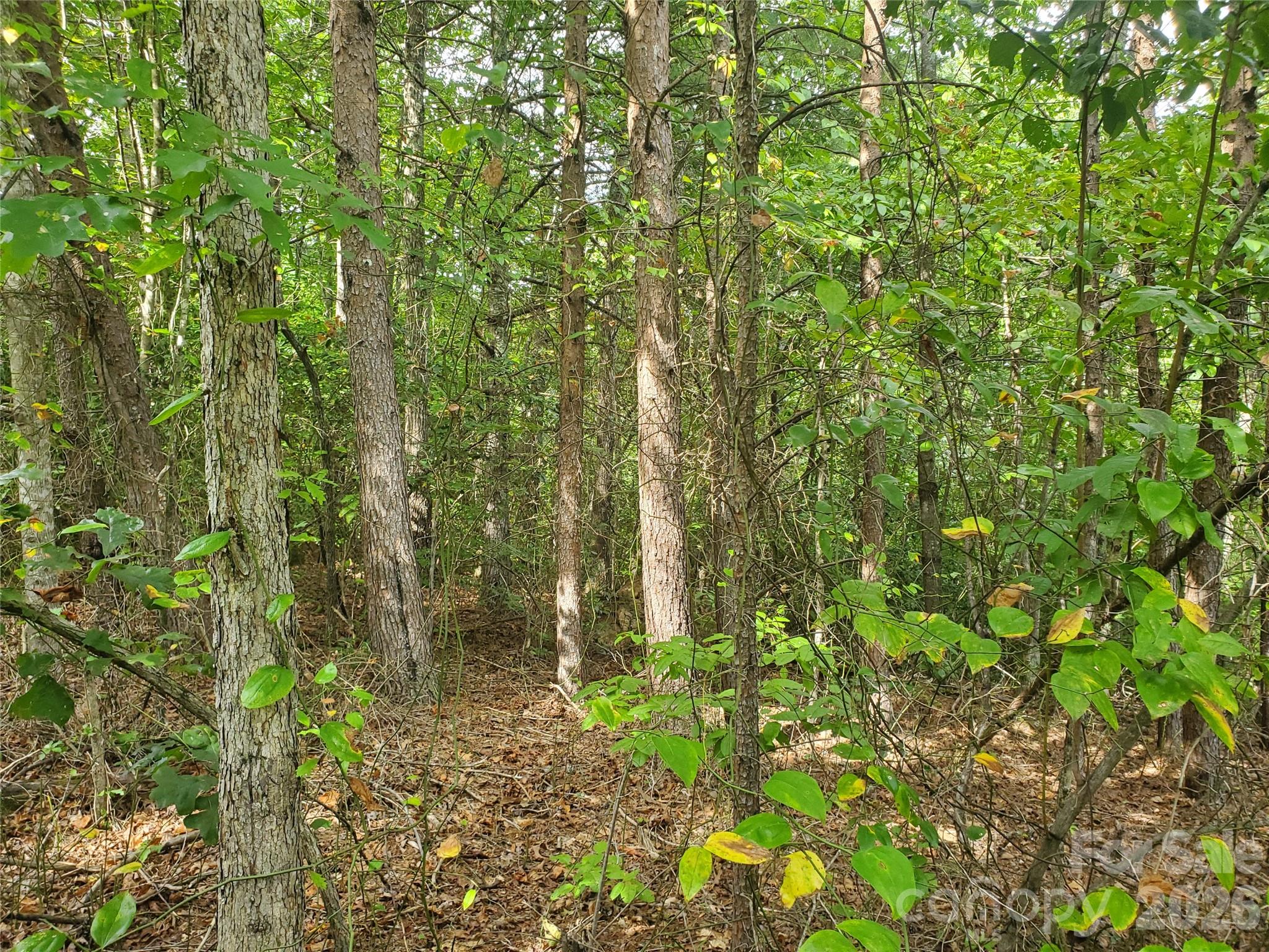 3024 Pearson Mountain Road Boomer NC 28606