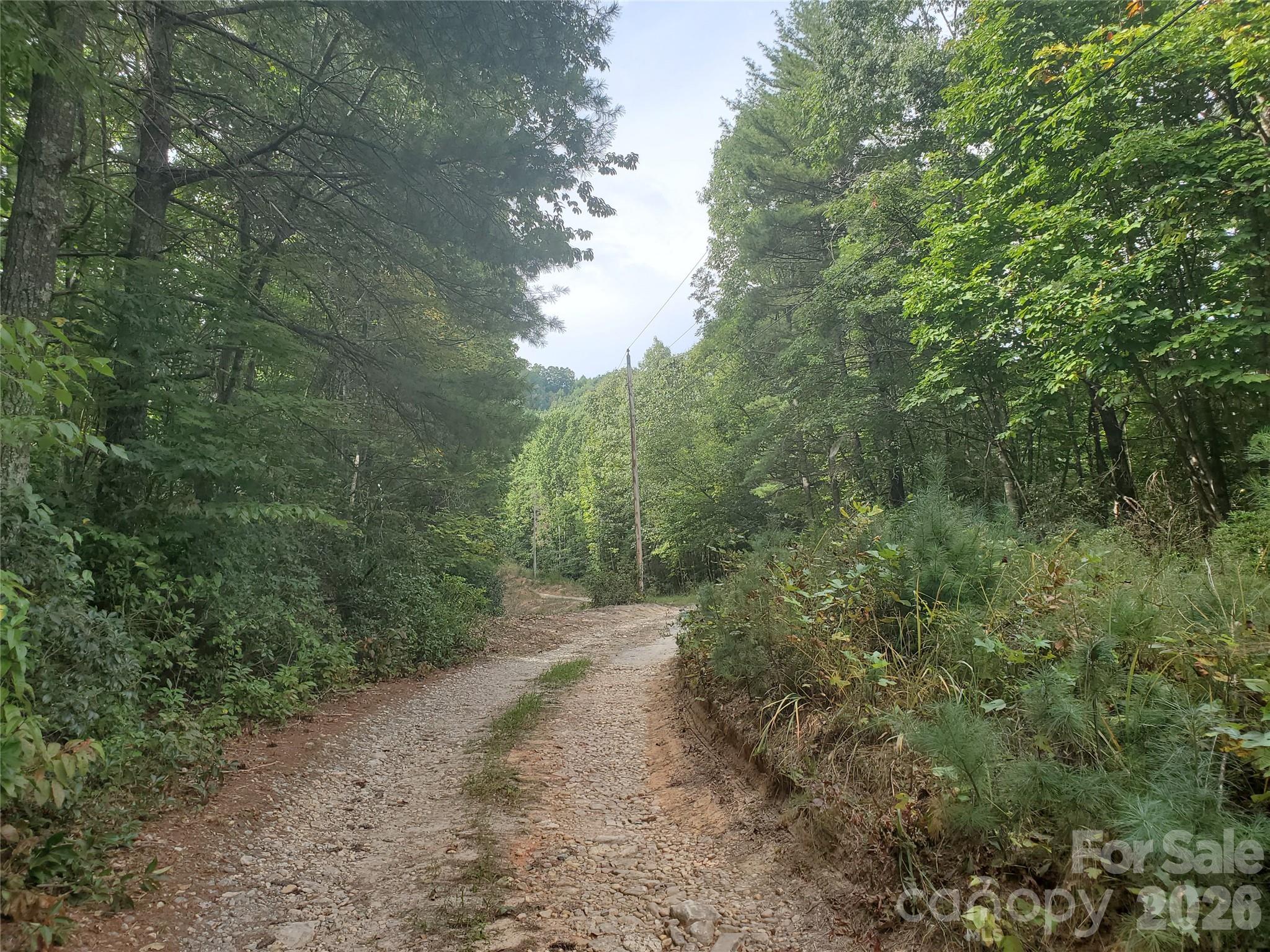 3024 Pearson Mountain Road Boomer NC 28606