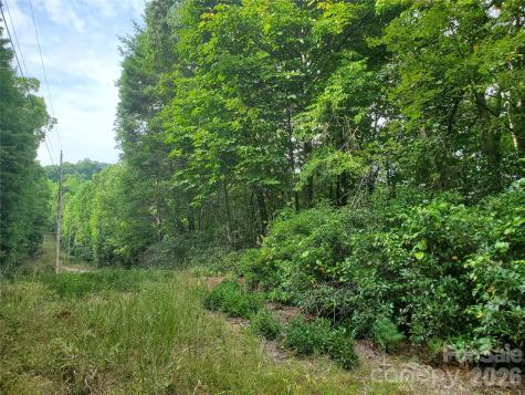 3024 Pearson Mountain Road Boomer NC 28606