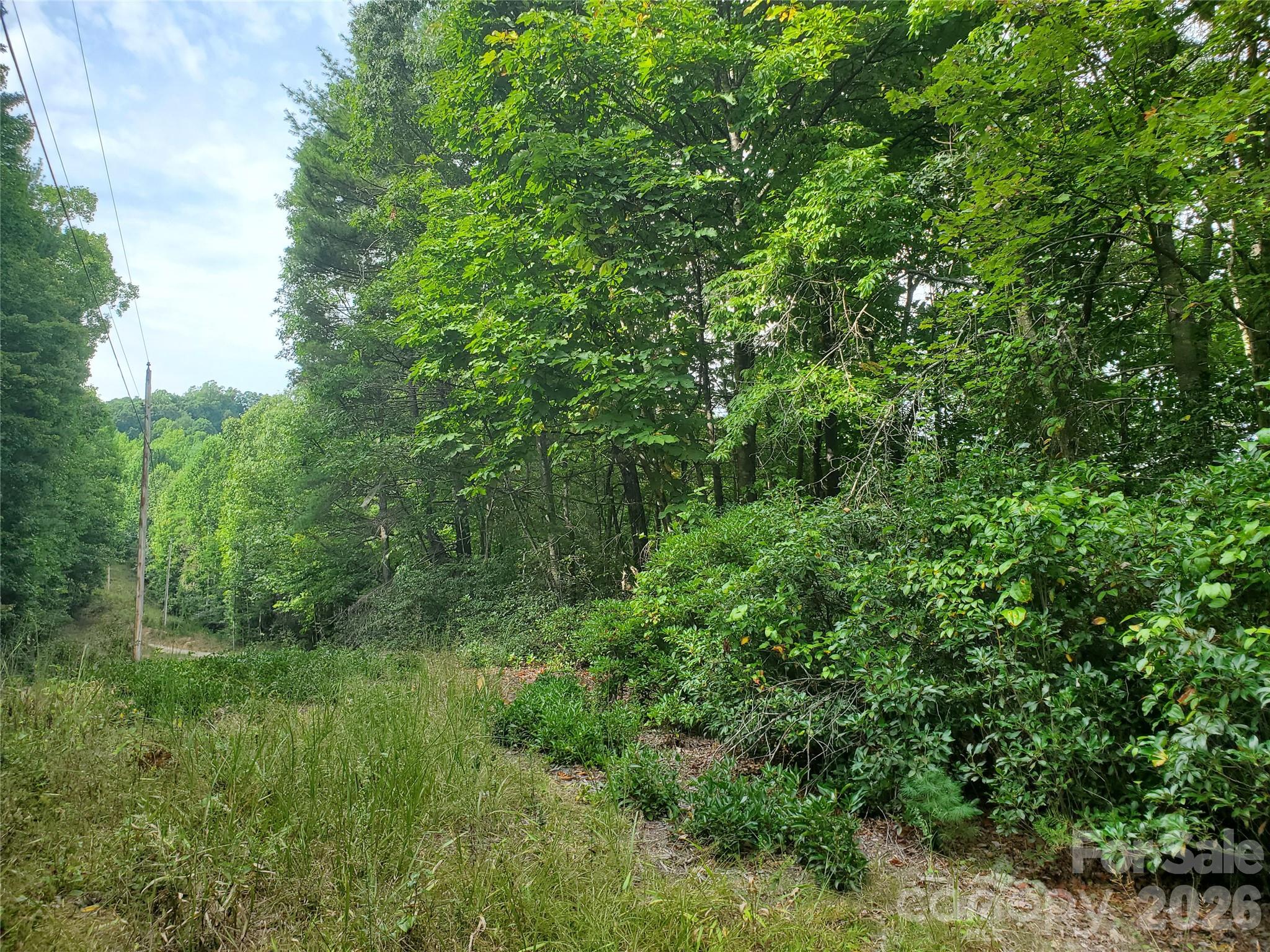 3024 Pearson Mountain Road Boomer NC 28606