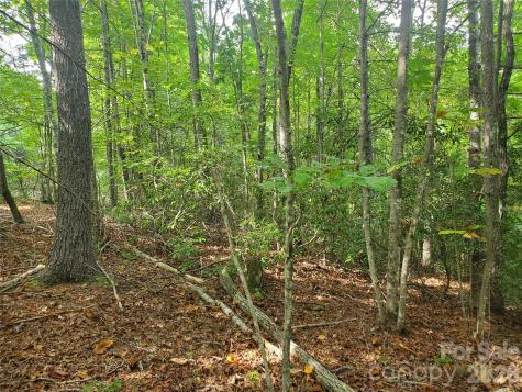 3024 Pearson Mountain Road Boomer NC 28606