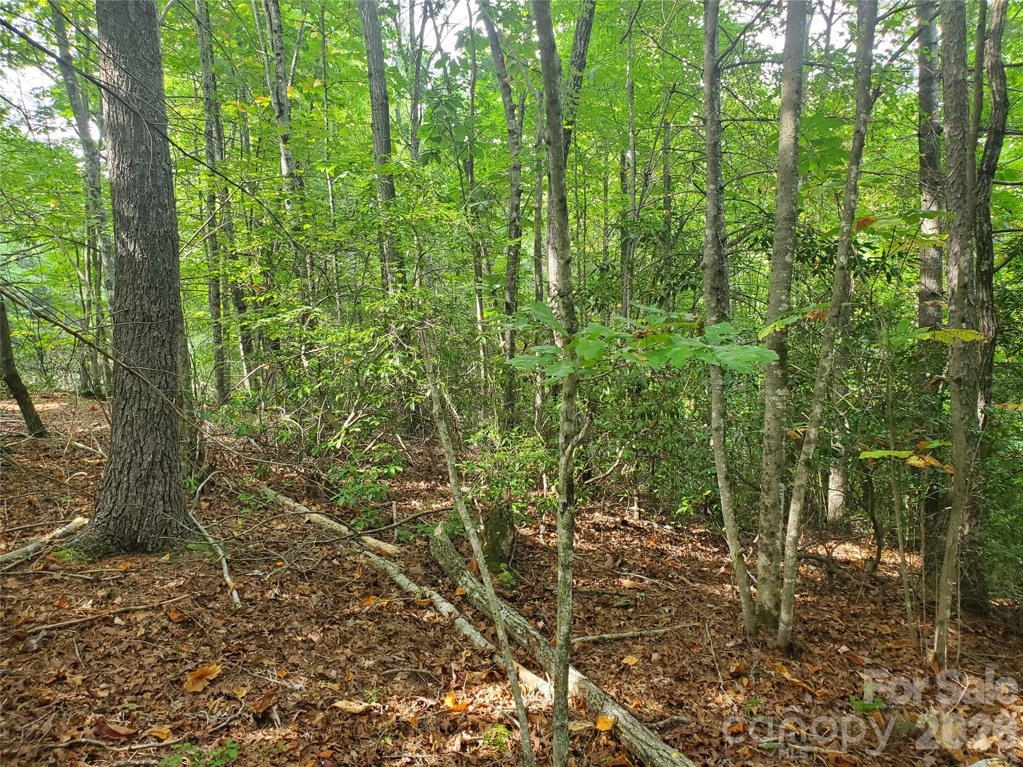 3024 Pearson Mountain Road Boomer NC 28606