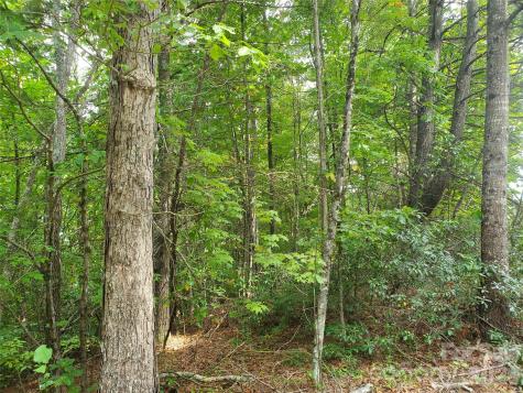 3024 Pearson Mountain Road Boomer NC 28606