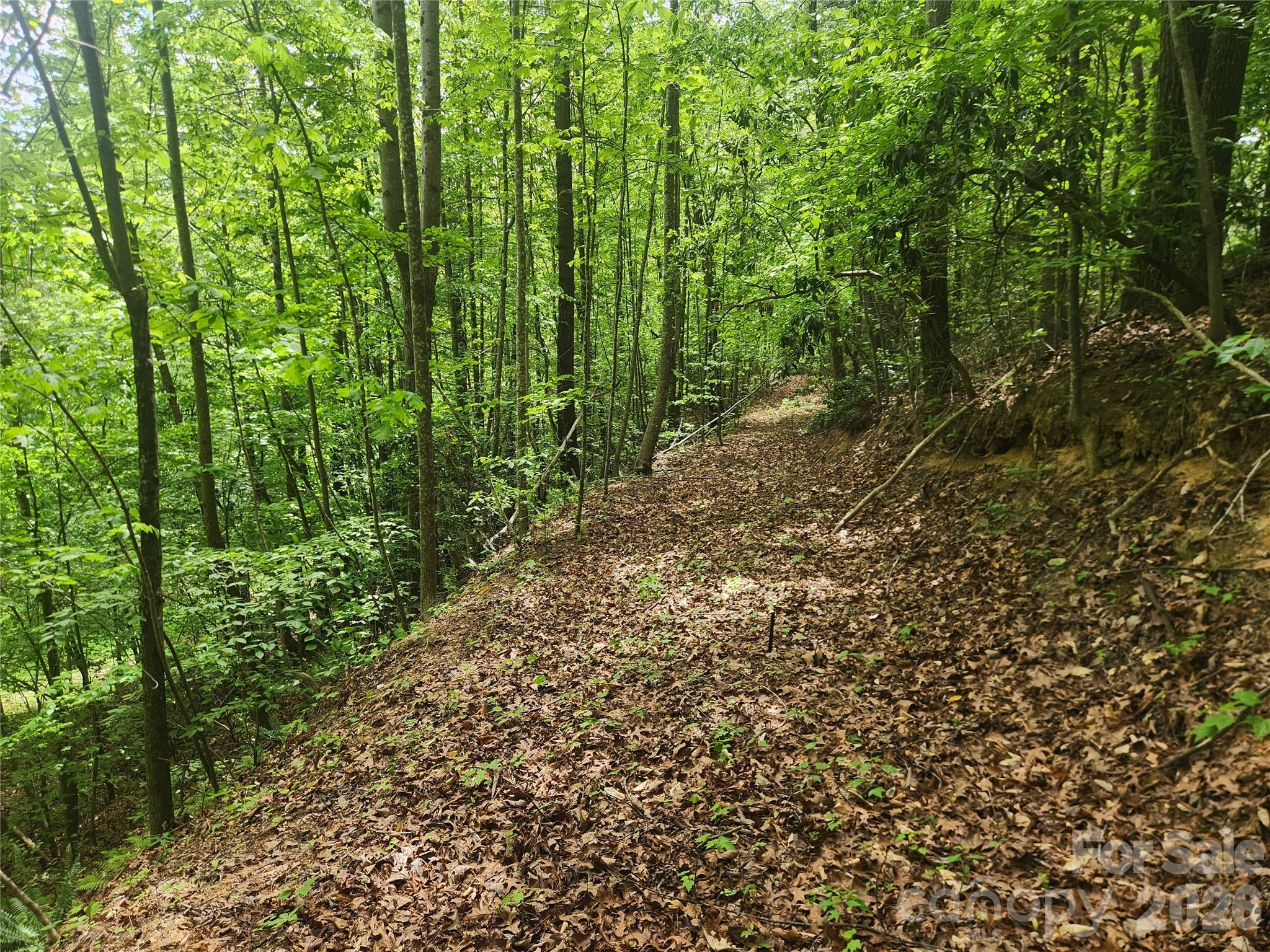 3024 Pearson Mountain Road Boomer NC 28606