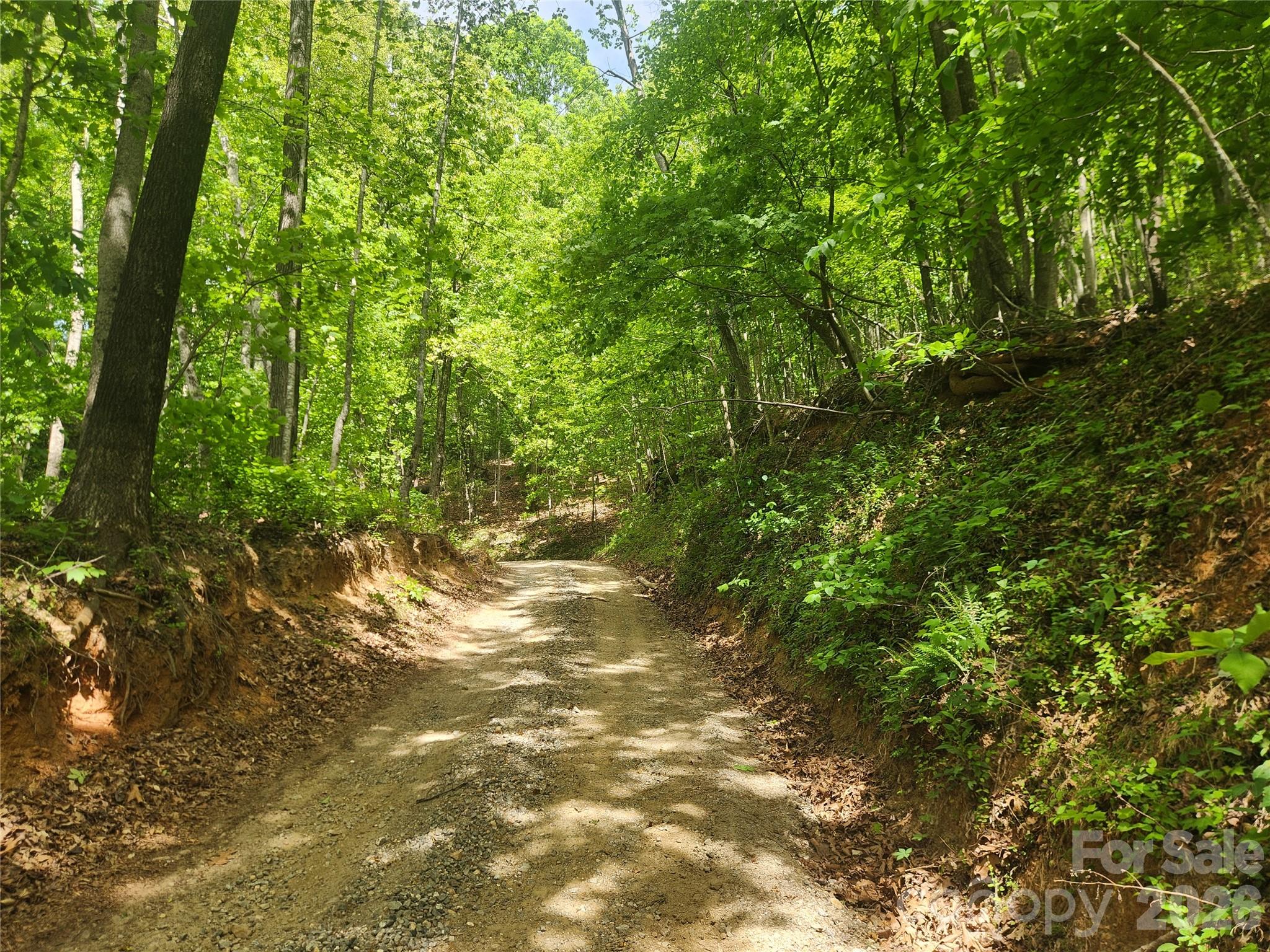 3024 Pearson Mountain Road Boomer NC 28606