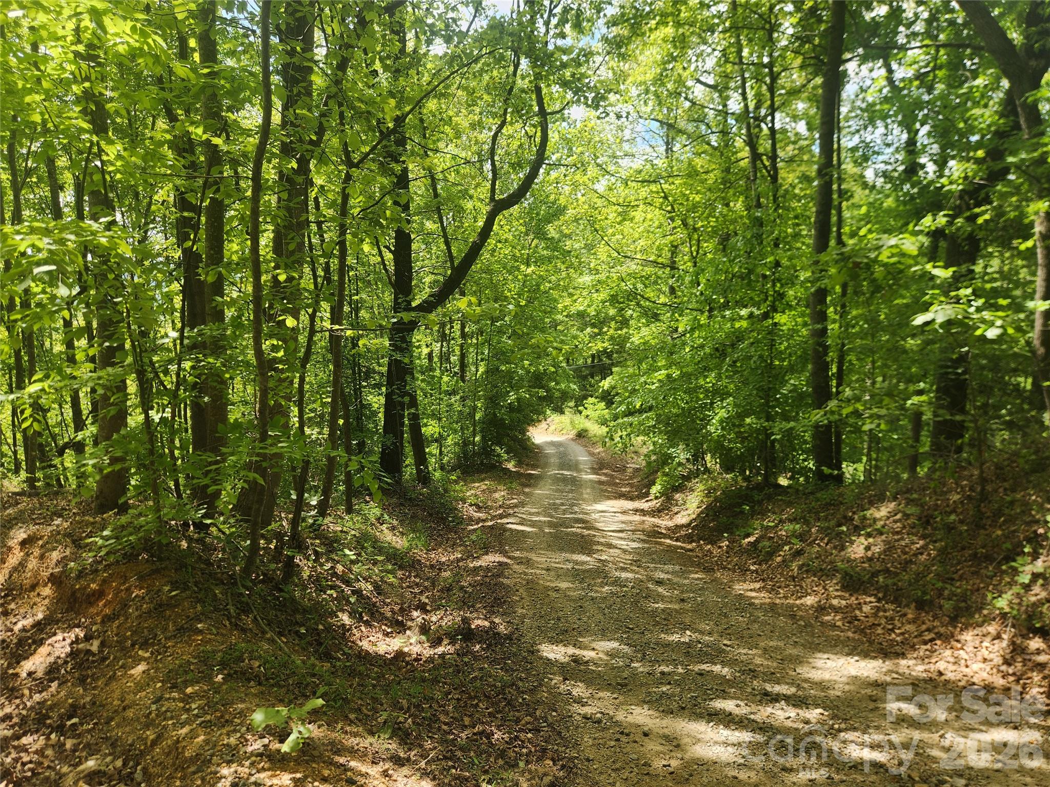 3024 Pearson Mountain Road Boomer NC 28606