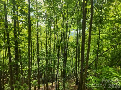 3024 Pearson Mountain Road Boomer NC 28606