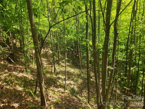 3024 Pearson Mountain Road Boomer NC 28606