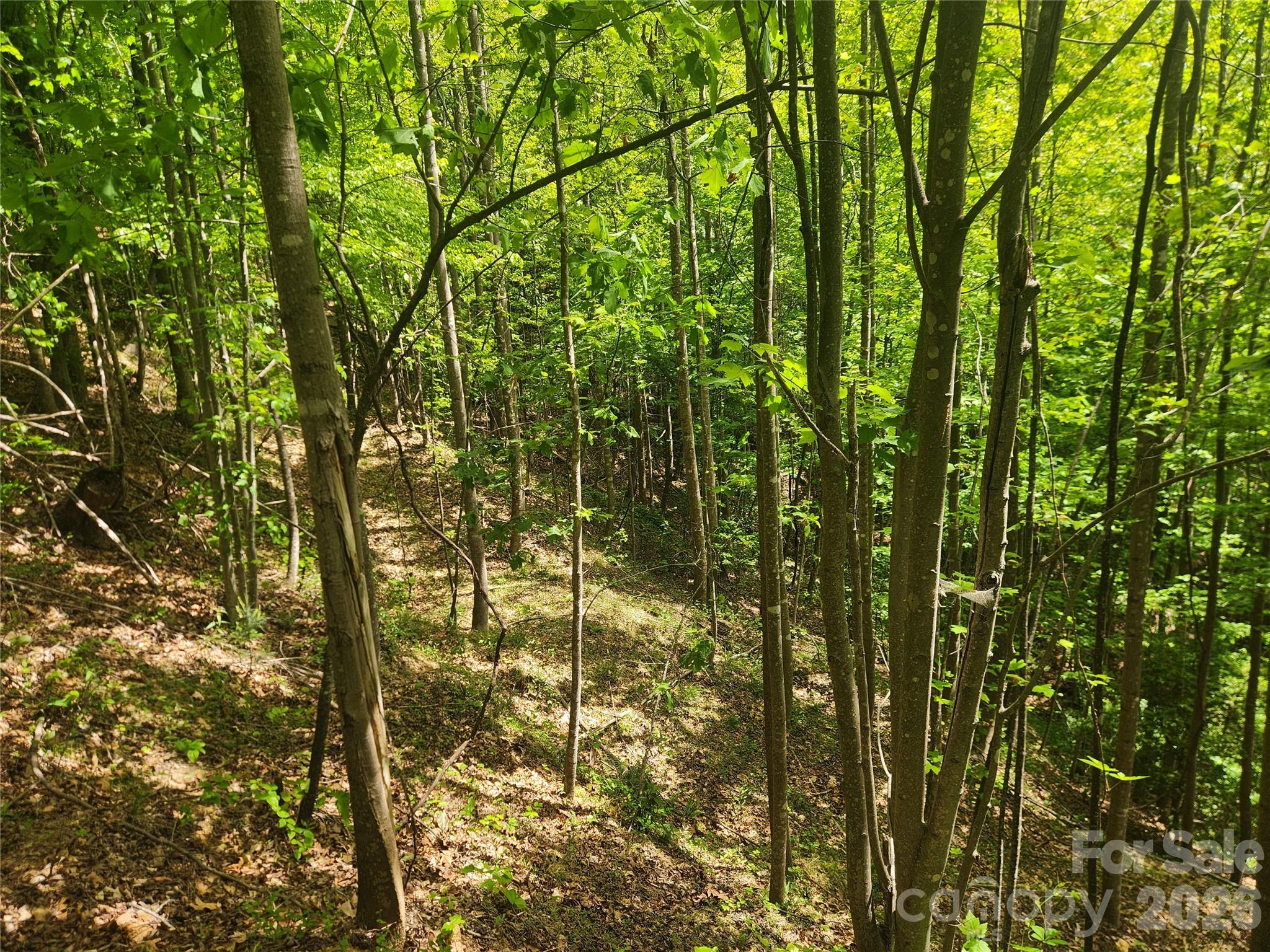 3024 Pearson Mountain Road Boomer NC 28606