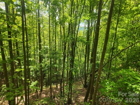 3024 Pearson Mountain Road Boomer NC 28606