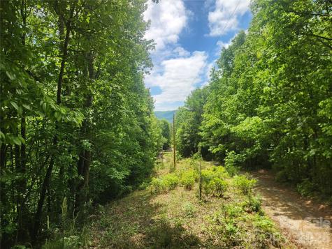 3024 Pearson Mountain Road Boomer NC 28606
