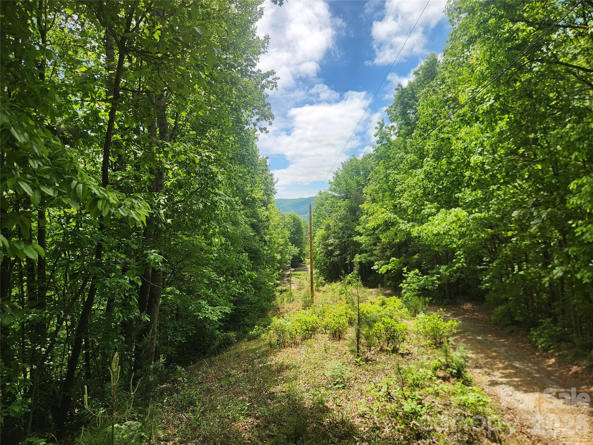 3024 Pearson Mountain Road Boomer NC 28606