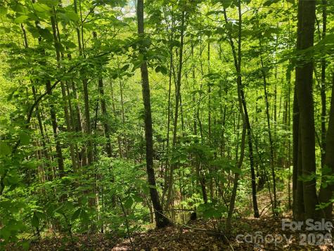 3024 Pearson Mountain Road Boomer NC 28606