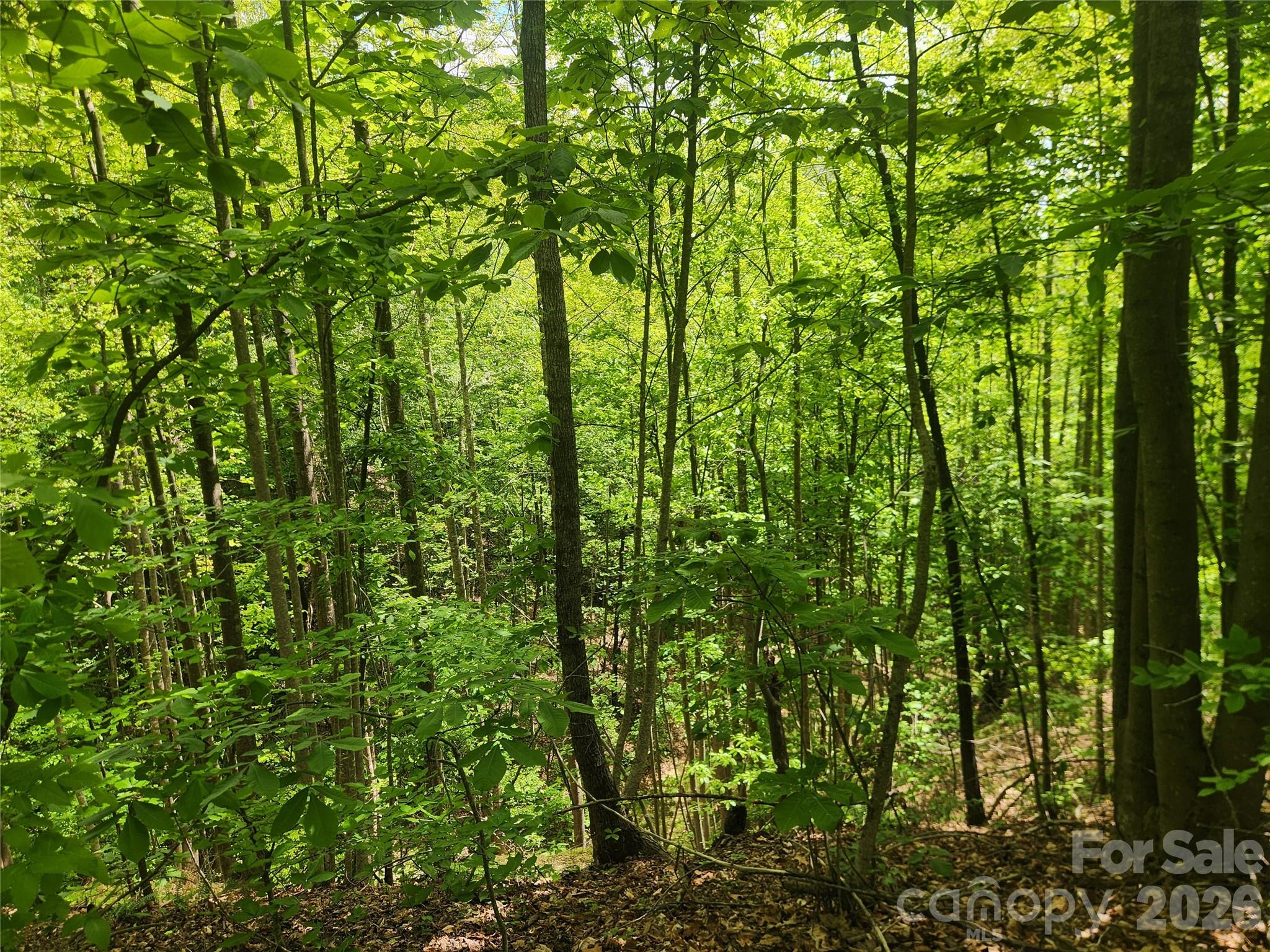 3024 Pearson Mountain Road Boomer NC 28606