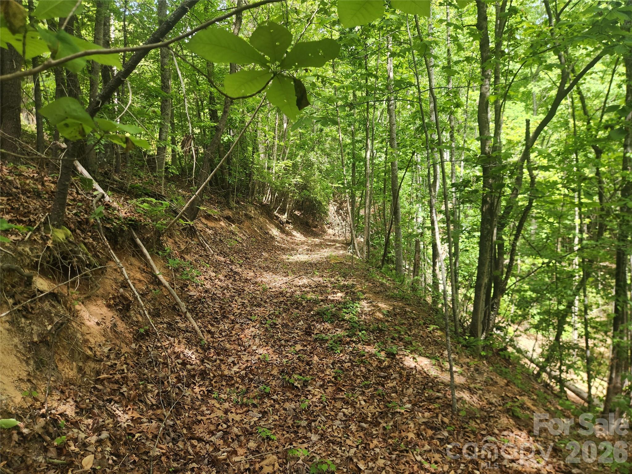 3024 Pearson Mountain Road Boomer NC 28606