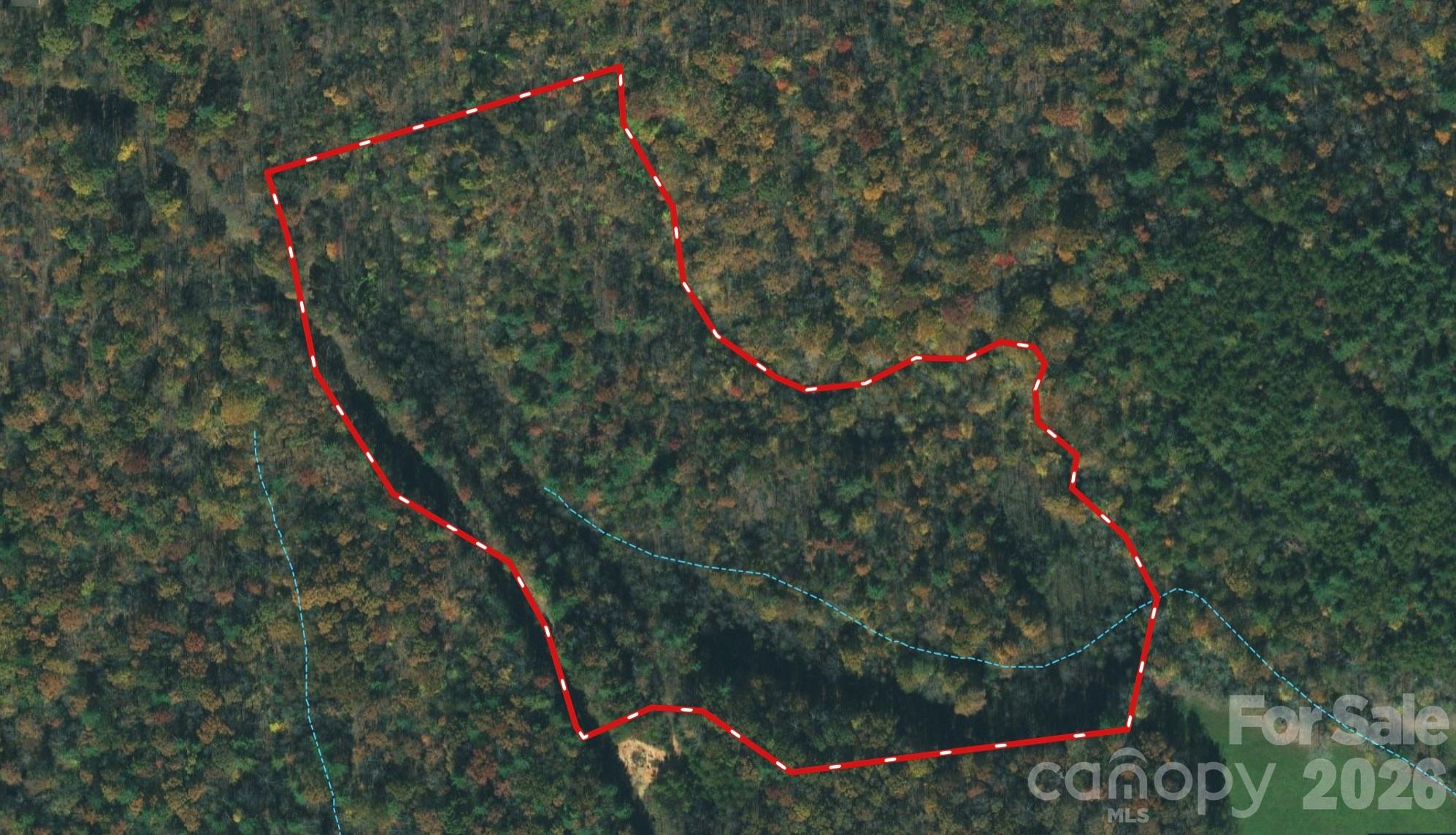 3024 Pearson Mountain Road Boomer NC 28606