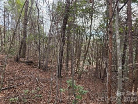 Lot 6 Kerlee Lane Old Fort NC 28762